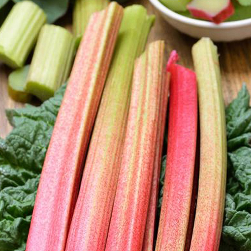 Thompson & Morgan Rhubarb Glaskins Perpetual Seeds Image 1