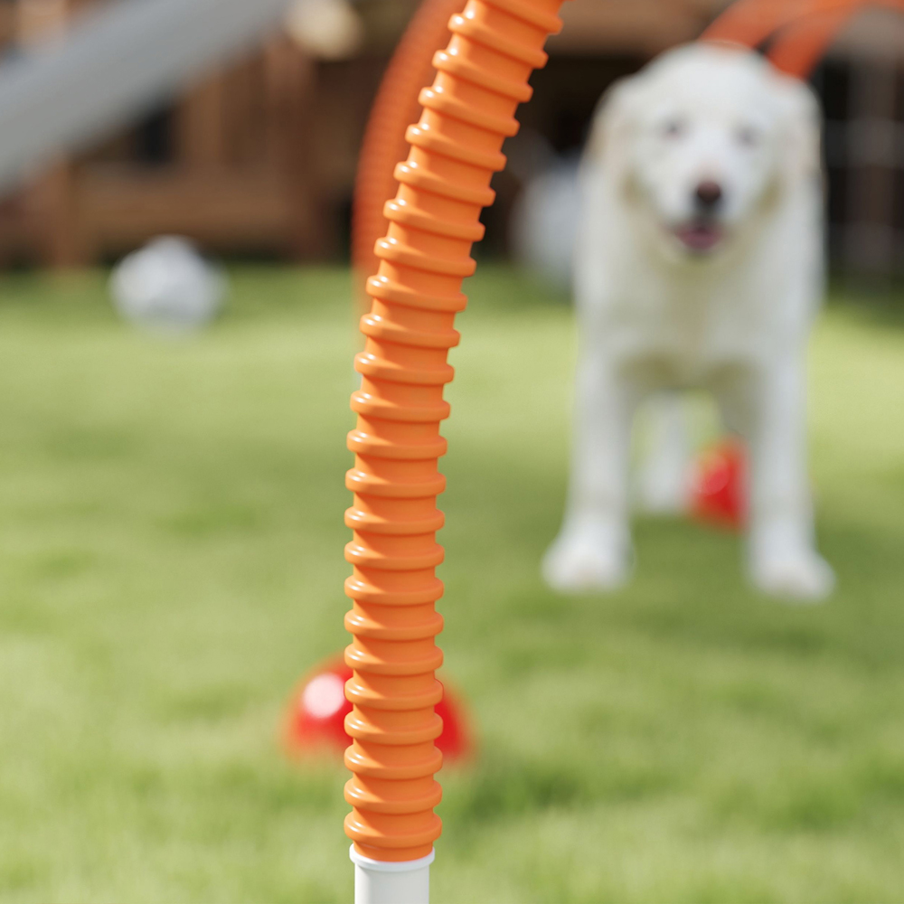 PawHut 4 Piece Orange Dog Agility Training Equipment Set with Bag Image 3