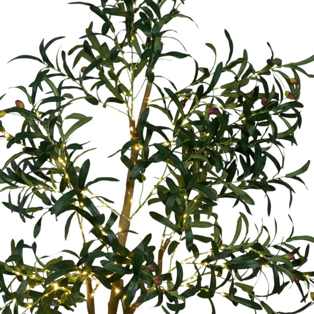 XL LED Olive Tree Green Image 4