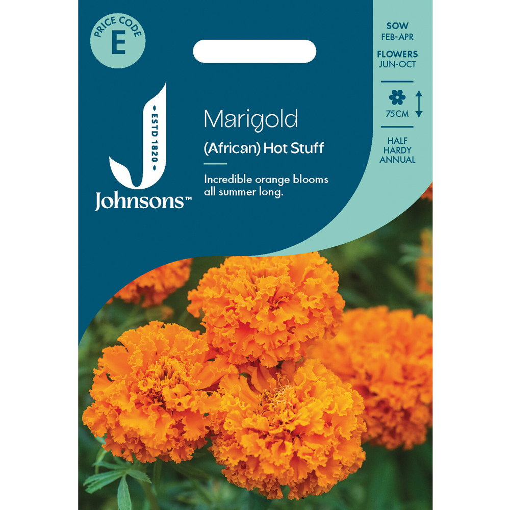 Pack of Marigold African Hot Stuff Flower Seeds Image 1