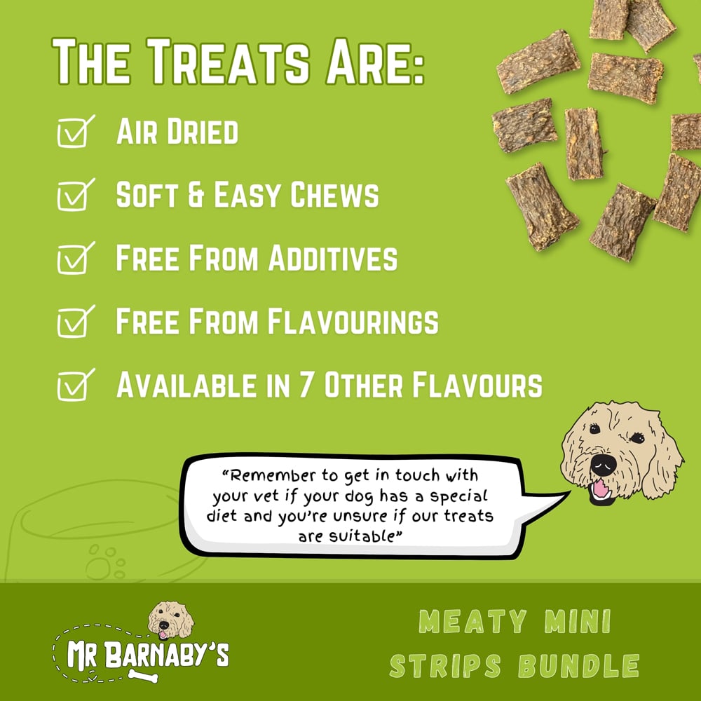 Mr Barnaby's Meaty Mini Strips Dog Treats Bundle 4 Pack Image 6