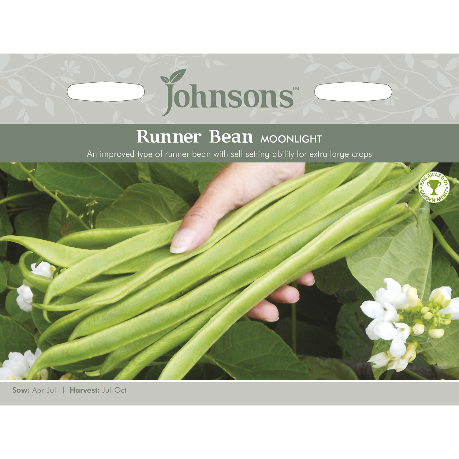 Johnsons Moonlight Runner Bean Seeds Image 2