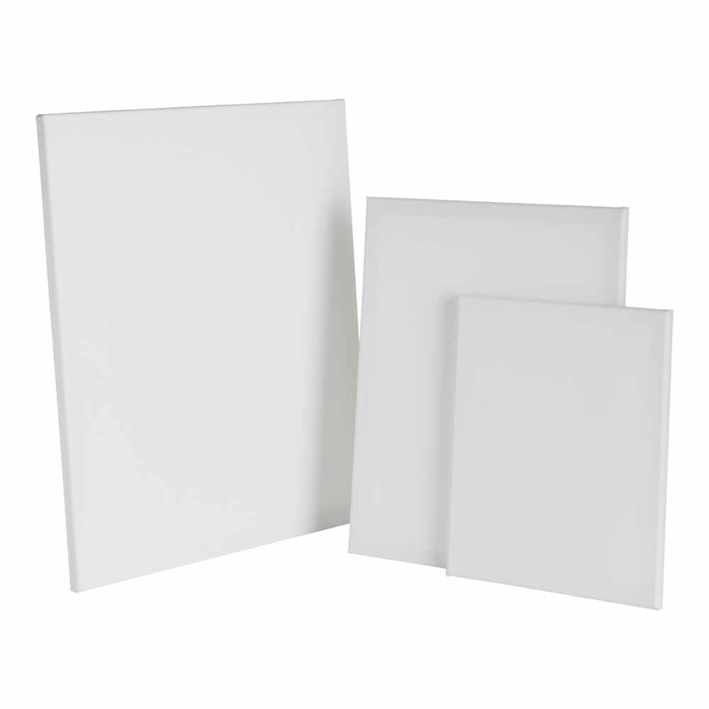 Wilko Canvases Assorted 3 Pack Image 1