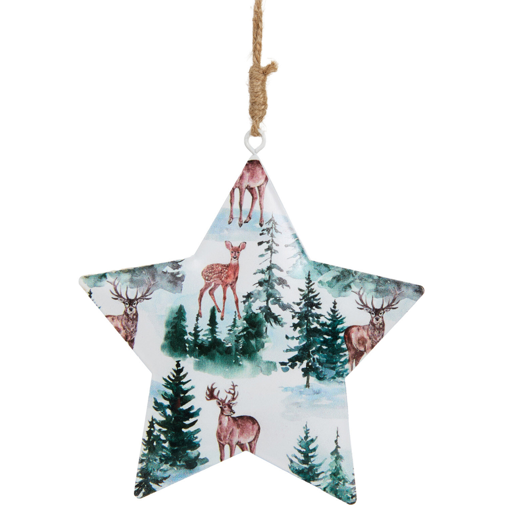 Metal Scandi Hanging Star Decoration Image 5