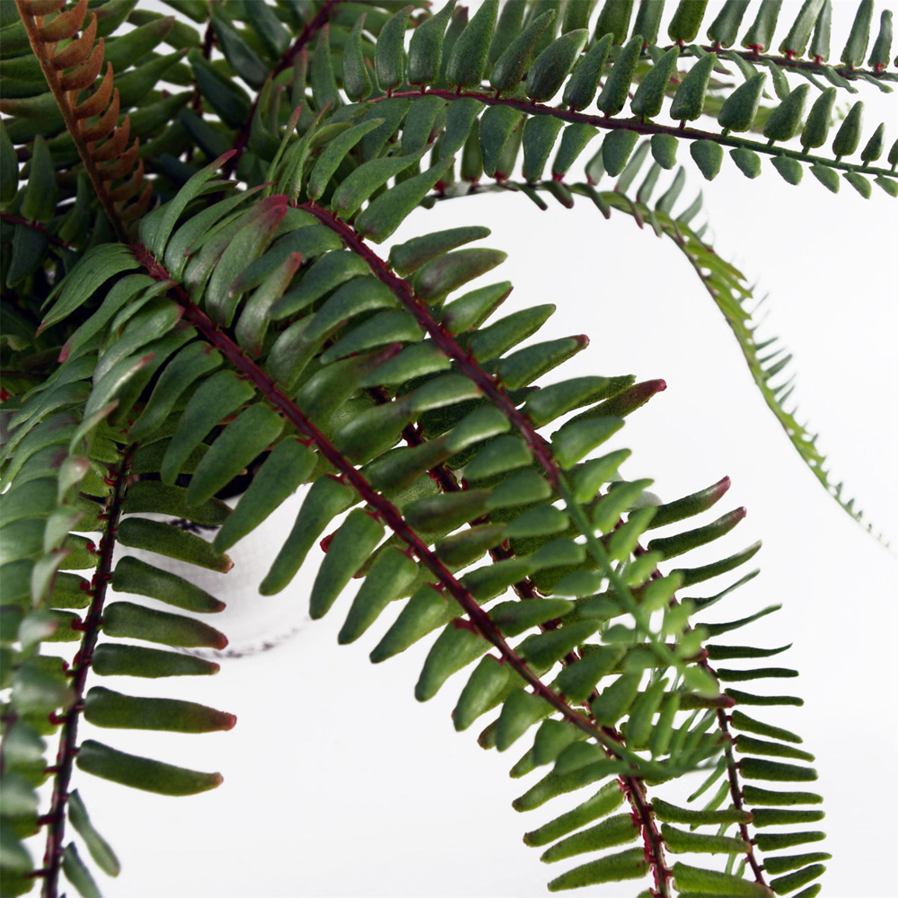 Leaf Fern Bush Artificial Plant in Pot 40cm Image 7