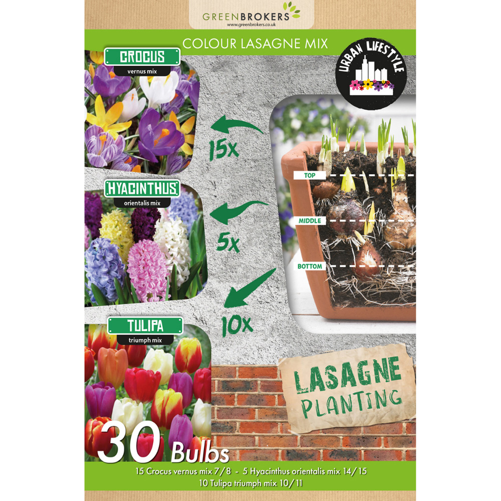 GreenBrokers Dutch Colour Lasagne Mixed Planting Bulb in Eco Gift Bag 30 Pack Image 2
