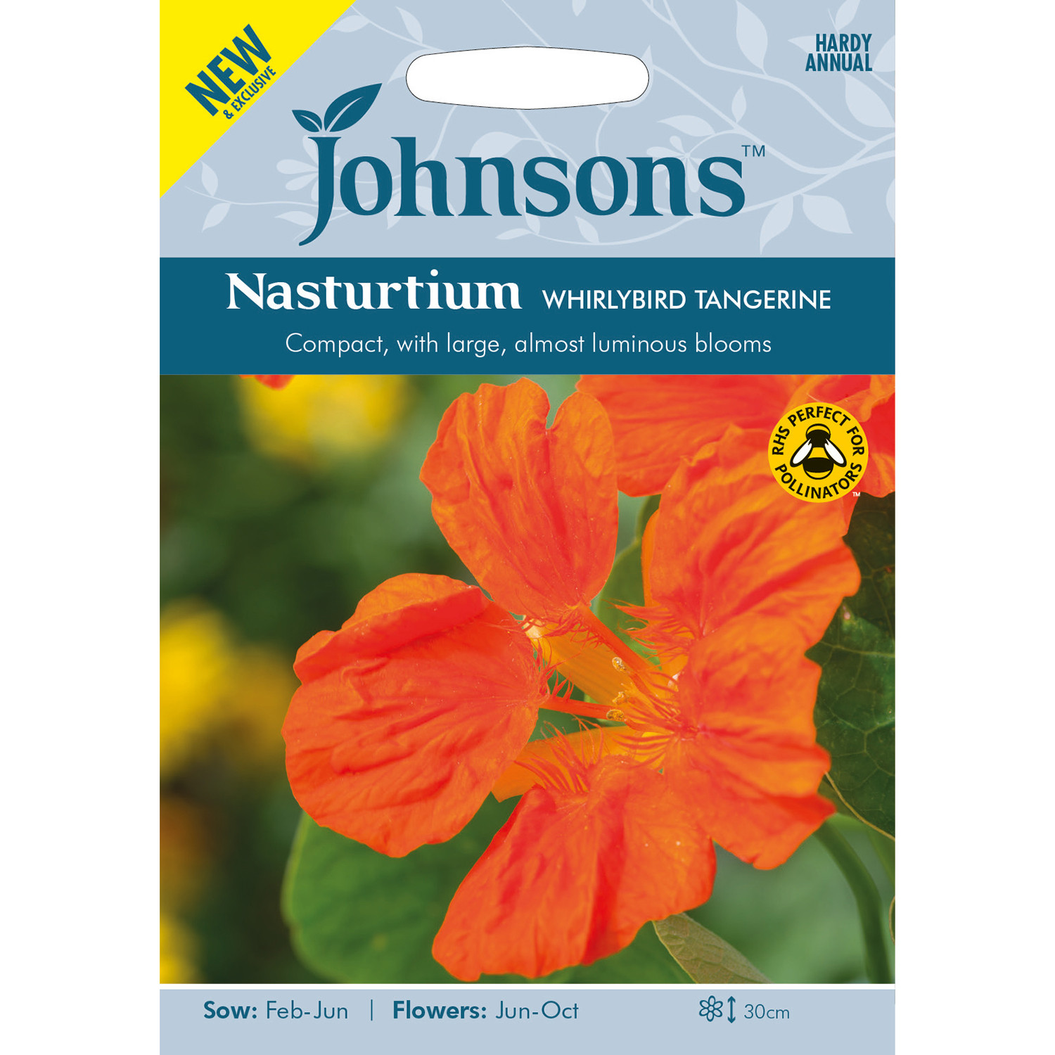 Johnsons Nasturtium Whirlybird Tangerine Flower Seeds Image 2