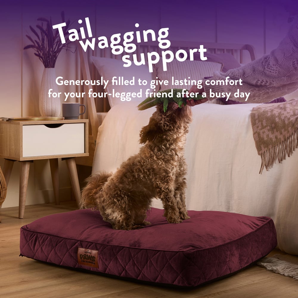 Slumberdown Medium Burgundy Padded Pet Bed Image 3