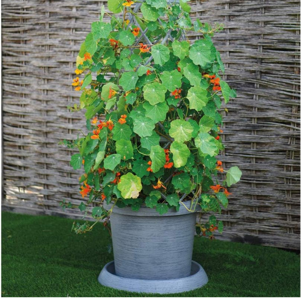 Garden Gear Modern Grey Tower Plant Pot Kit 2 Pack Image 2