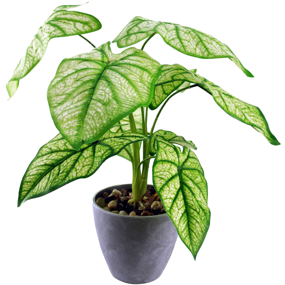 Leaf Taro Artificial Plant in Pot 40cm Image 1