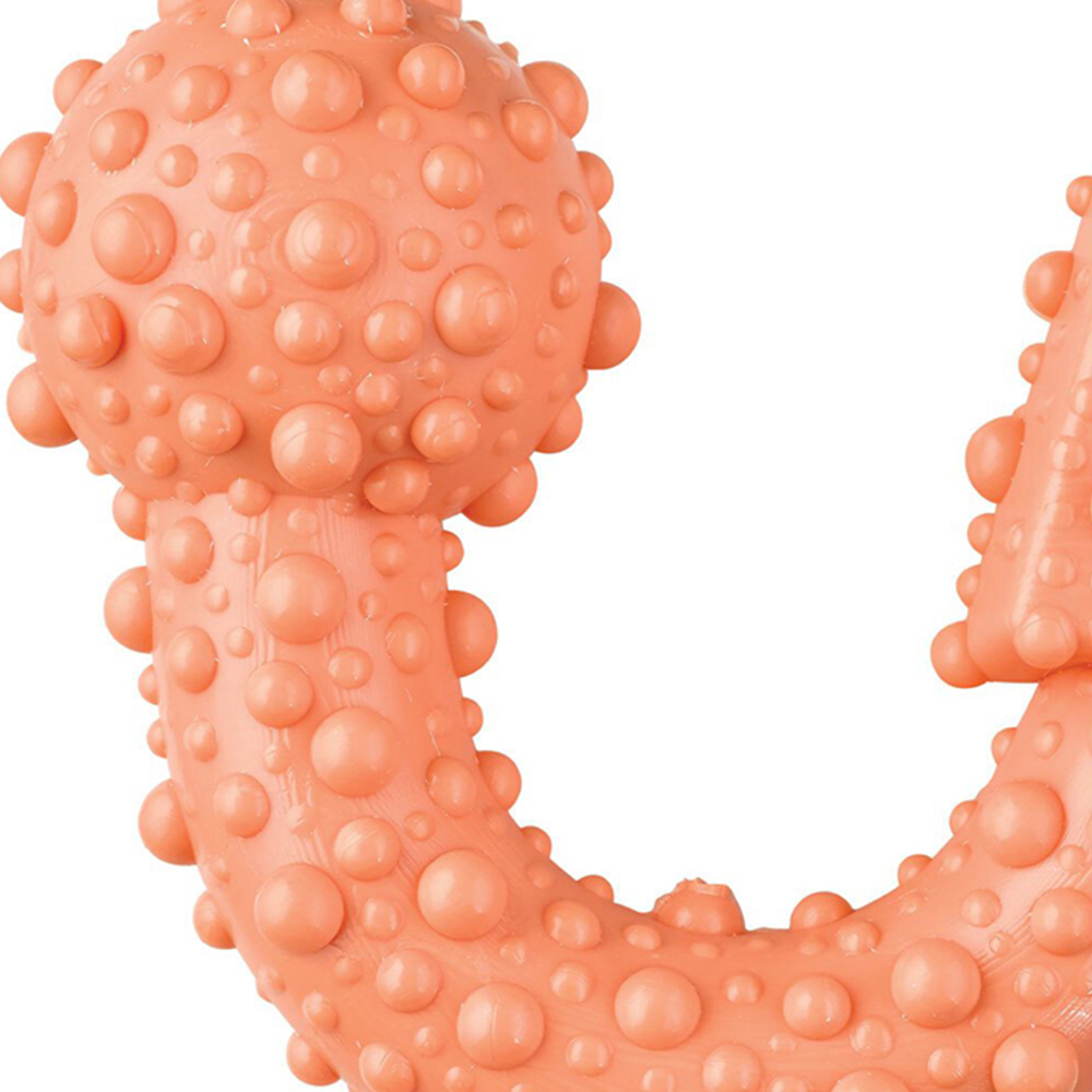 Tasty Bone Cinnamon Mint Trio Bone Image 2