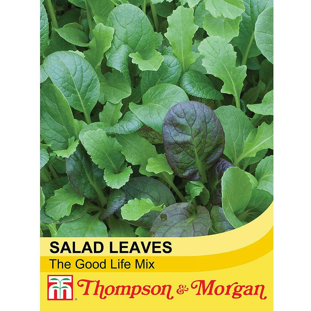 Thompson & Morgan The Good Life Mix Winter Greens Seeds Image 2