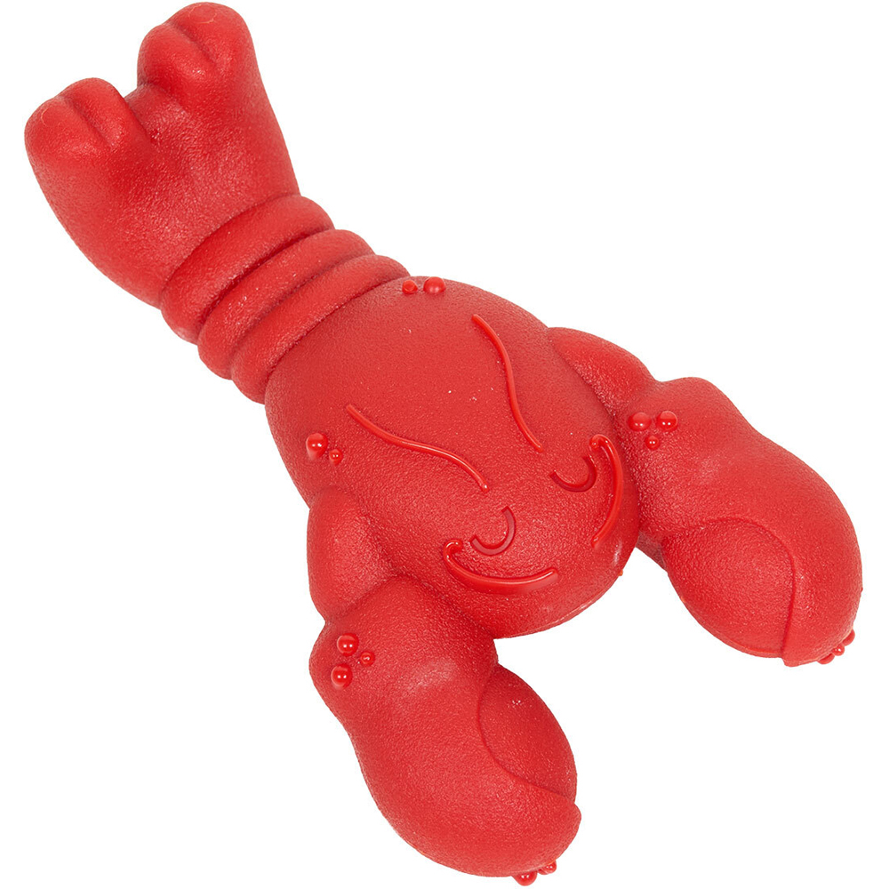 Nylabone Lobster Filet Mignon Dog Chew Toy Orange Image 3