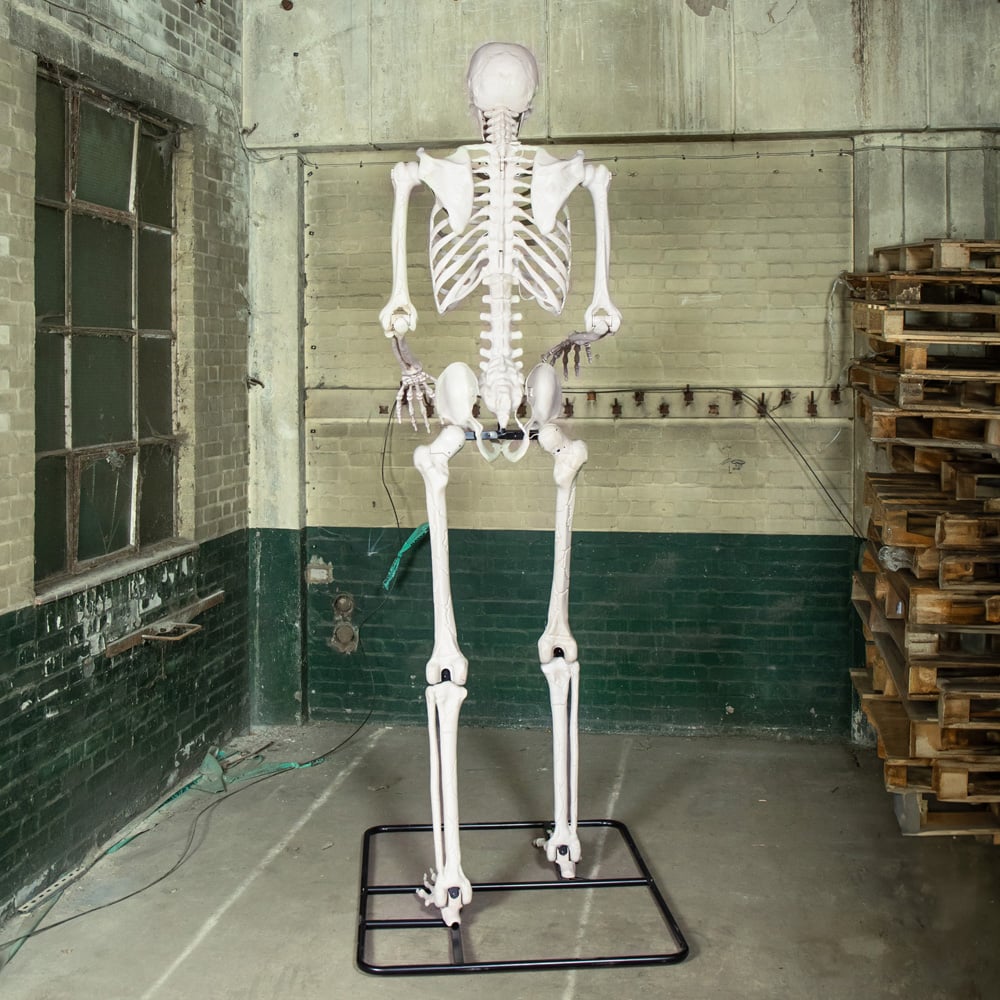 Samuel Alexander LED Posable Full Body Skeleton Halloween Decoration 10ft Image 3