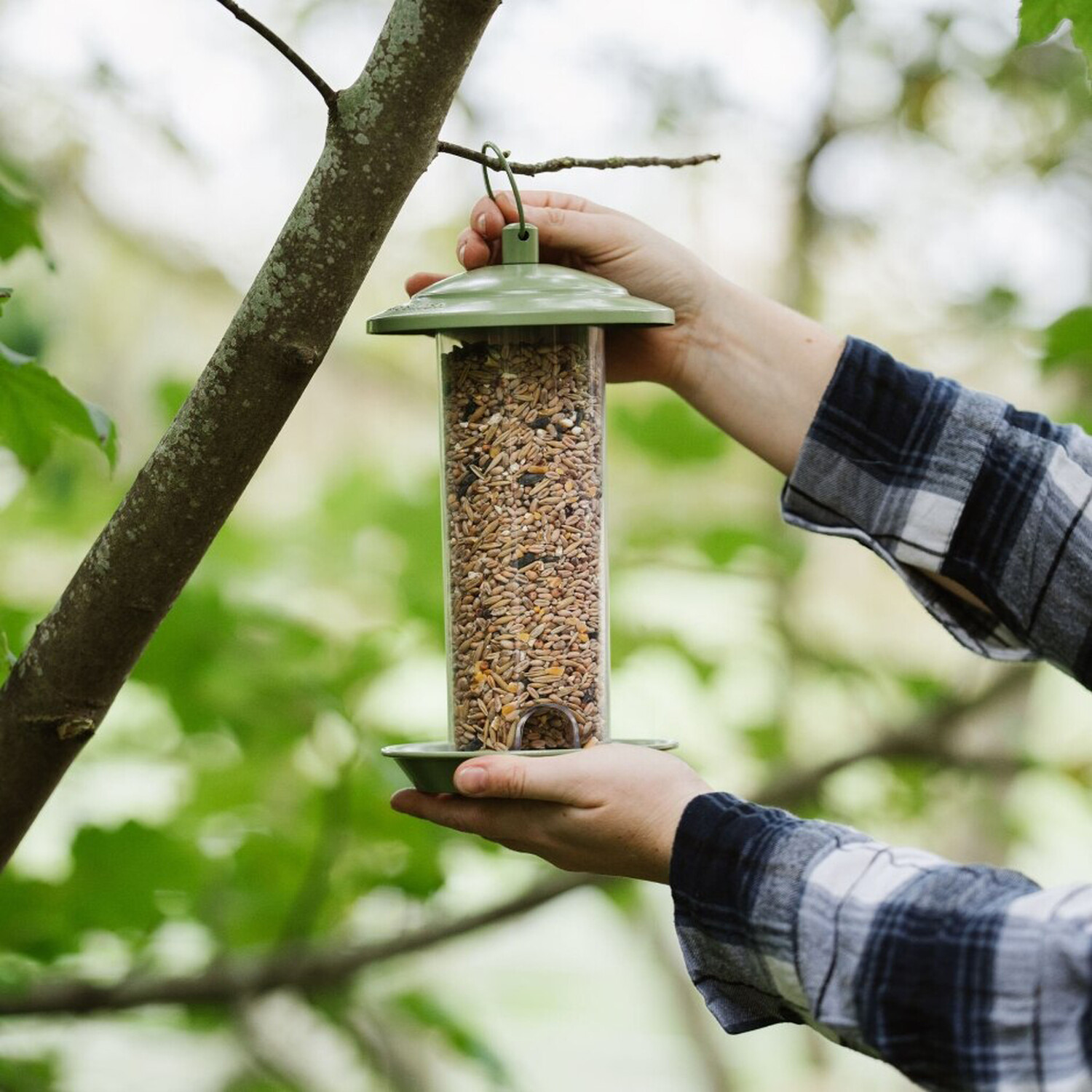Peckish Canto Seed Feeder Image 3