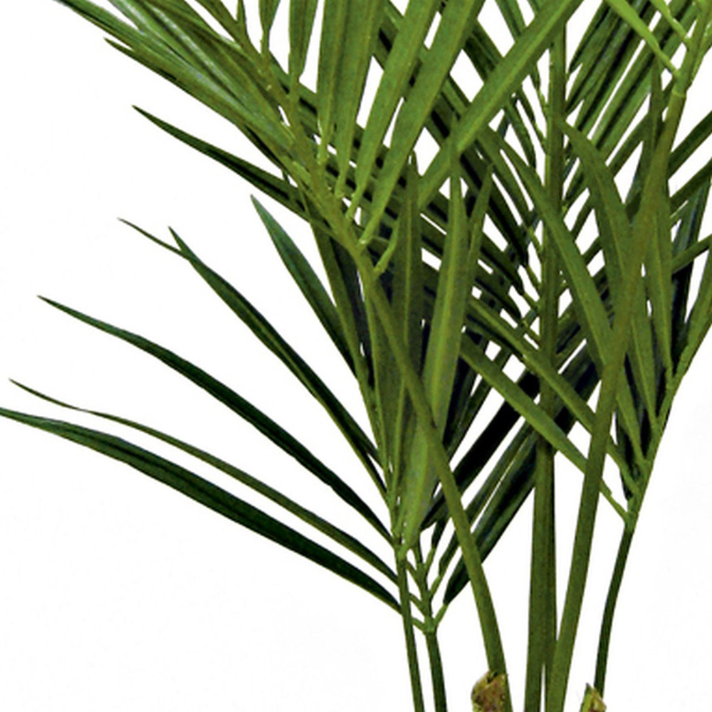 Botanik Kentia Palm Artificial Tree in Pot 5ft Image 2