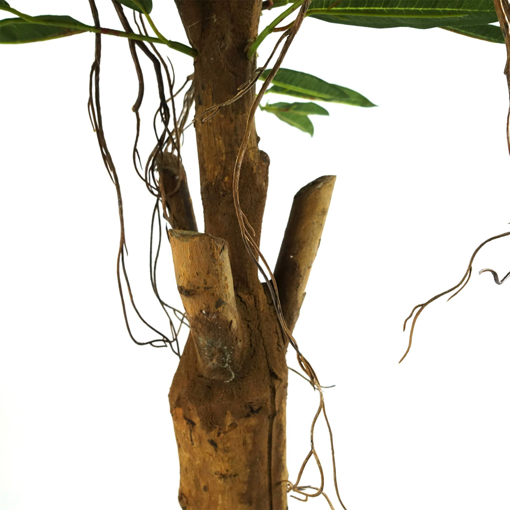 Botanik Longifolia Ficus Natural Trunk Artificial Tree in Pot 3ft Image 4