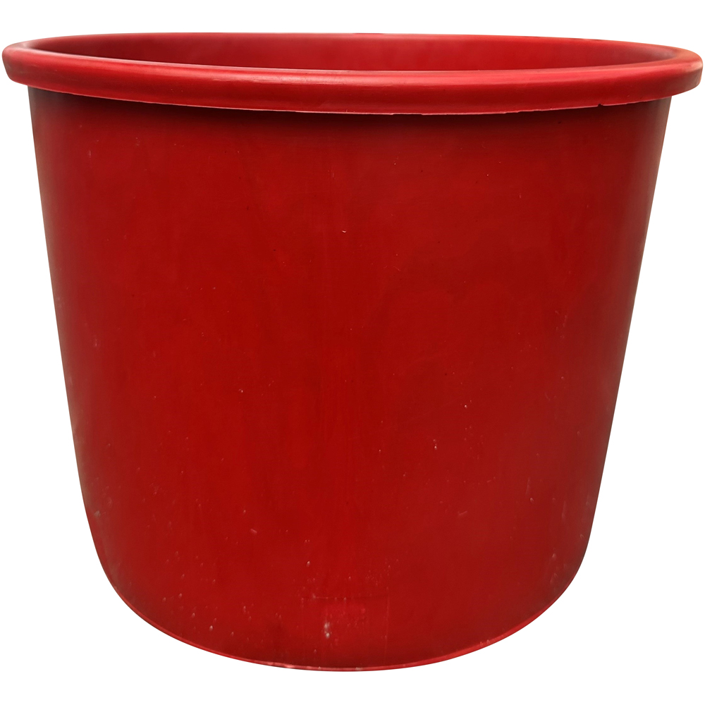 Needle Fresh Nordman Fir Pot Grown Real Christmas Tree with Cover Pot 4.5ft Image 2