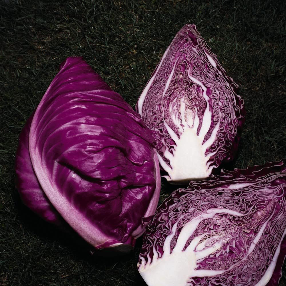 Thompson & Morgan Cabbage Kalibos 100 Seeds Packet Image 1