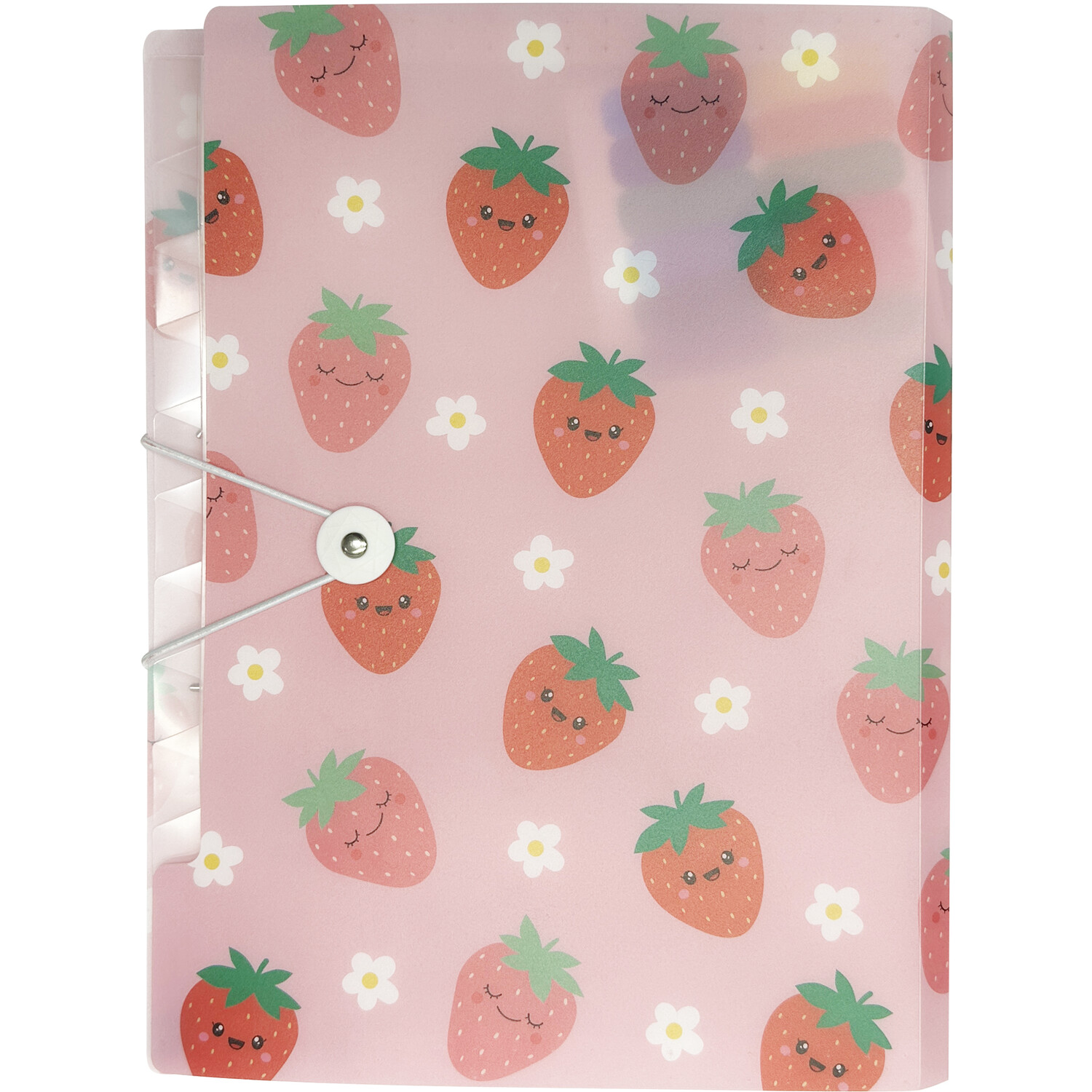 Strawberry File Holder - Multicolour Image 1