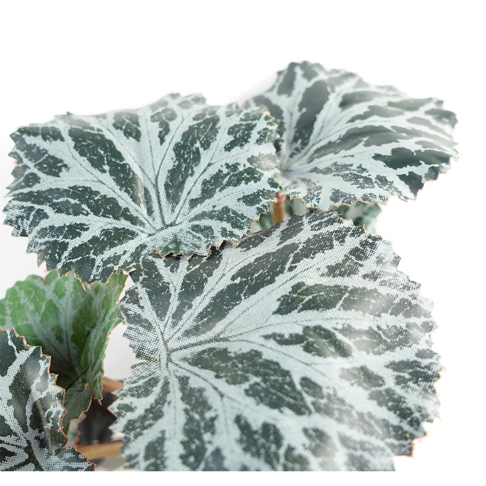 Leaf Trailing Begonia Artificial Plant 50cm Image 4