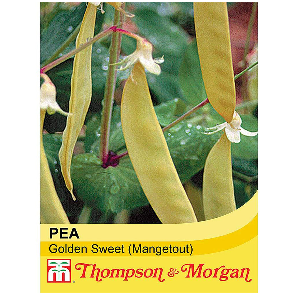 Thompson and Morgan Pea Golden Sweet Seeds Image 1