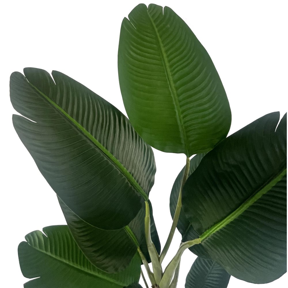 Leaf Traveller Banana Palm Artificial Tree 150cm Image 2