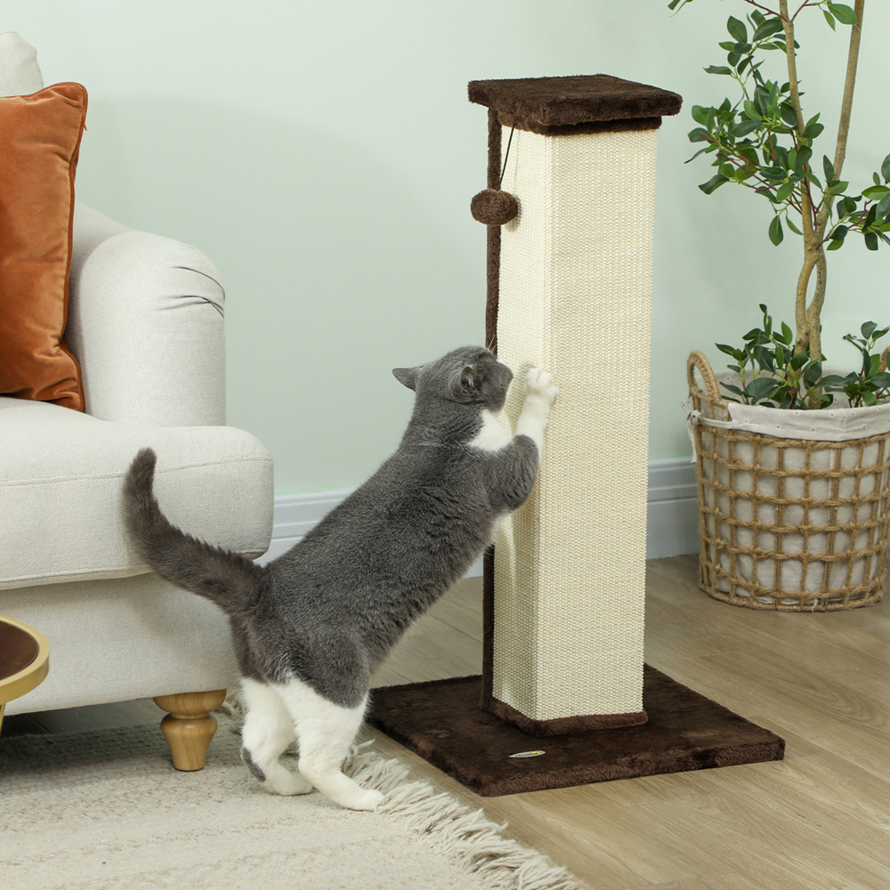 PawHut 81cm Brown Cat Scratching Post Image 2