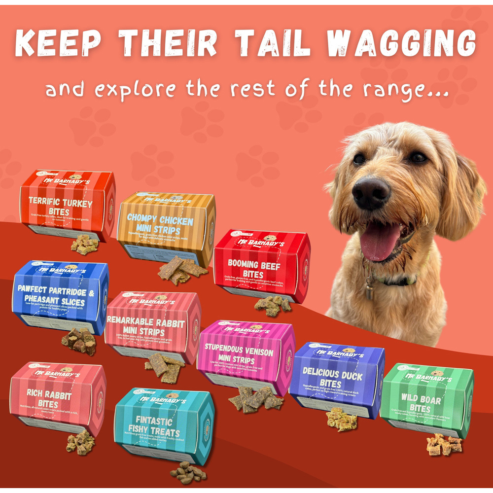 Mr Barnaby's Tastylicious Turkey Mini Strips Grain-Free Hypoallergenic Dog Treats 100g 2 Pack Image 8