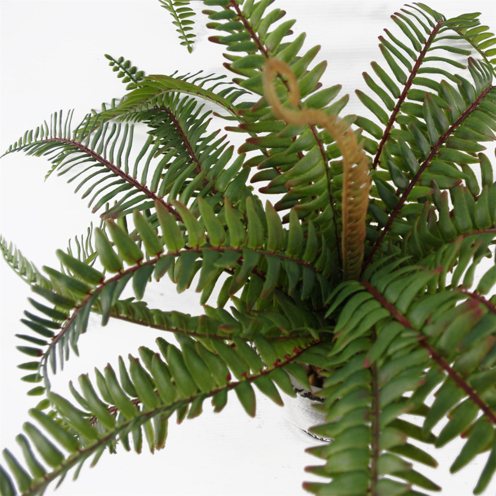Leaf Fern Bush Artificial Plant in Pot 40cm Image 4