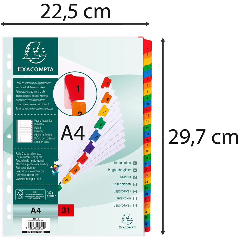 Exacompta A4 White 1-31 Divider with Multicolour Tabs 10 Pack Image 3