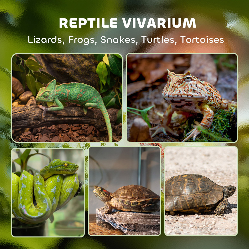 PawHut Black Stone Background Glass Reptile Terrarium 10L Image 3