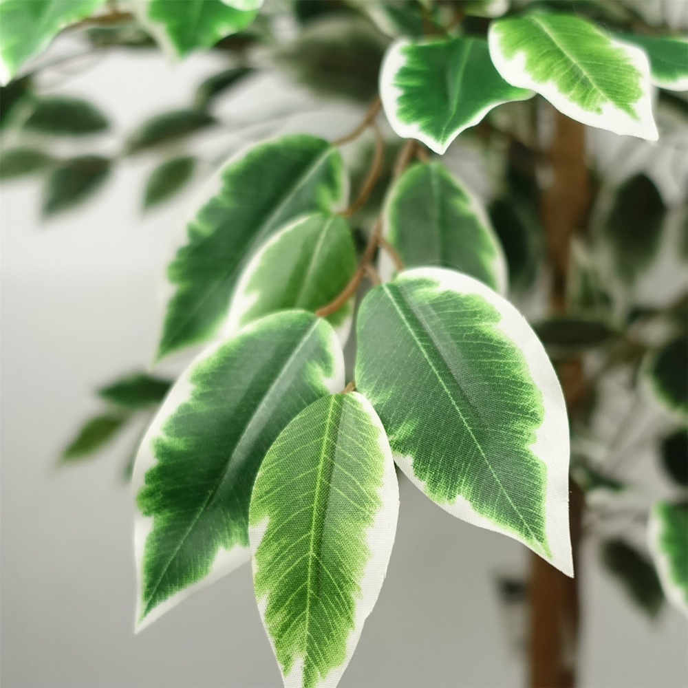 Botanik Ficus Artificial Tree in Pot 5ft Image 2