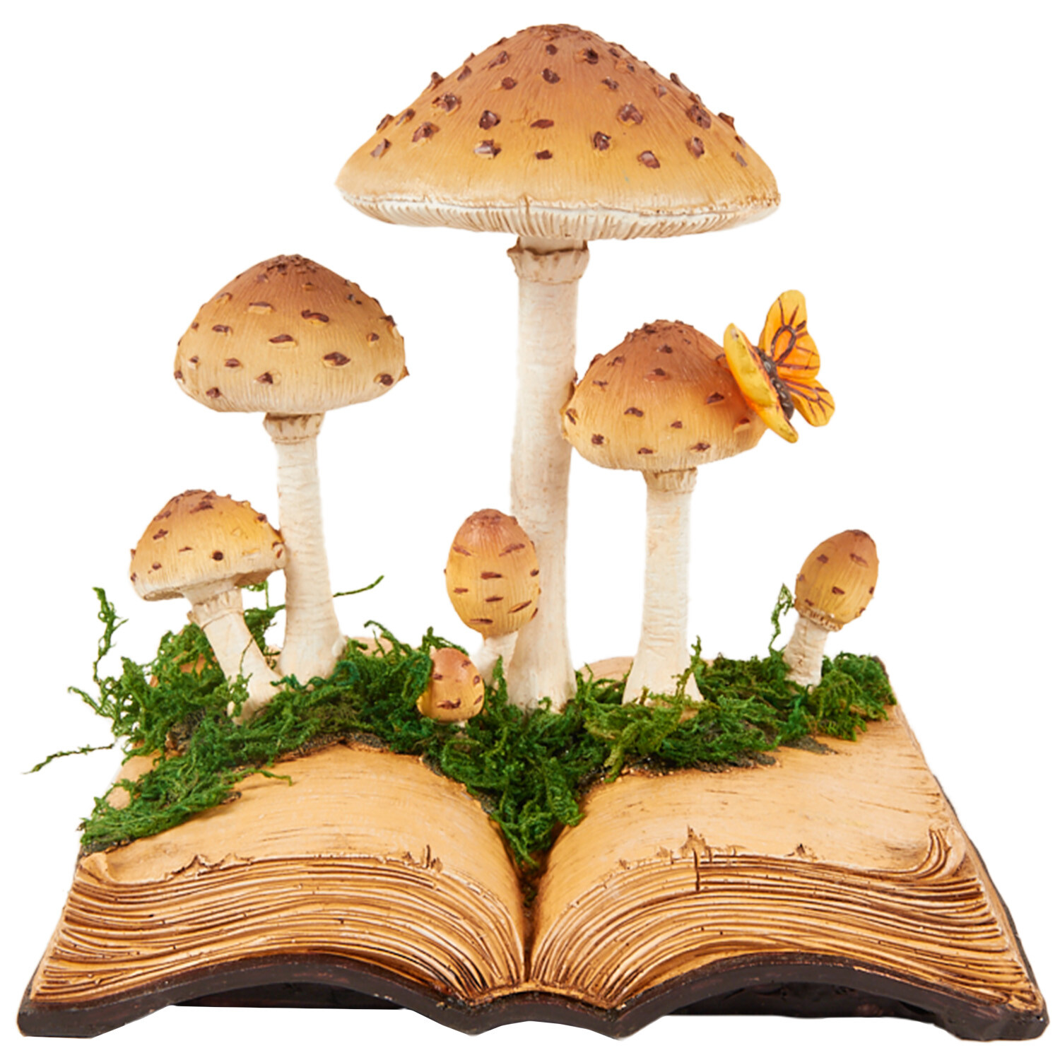 Mushroom Book - Brown Image 1