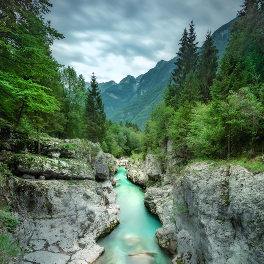 Erismann River Through The Forest Digital 3 Panels Wall Mural Image 2