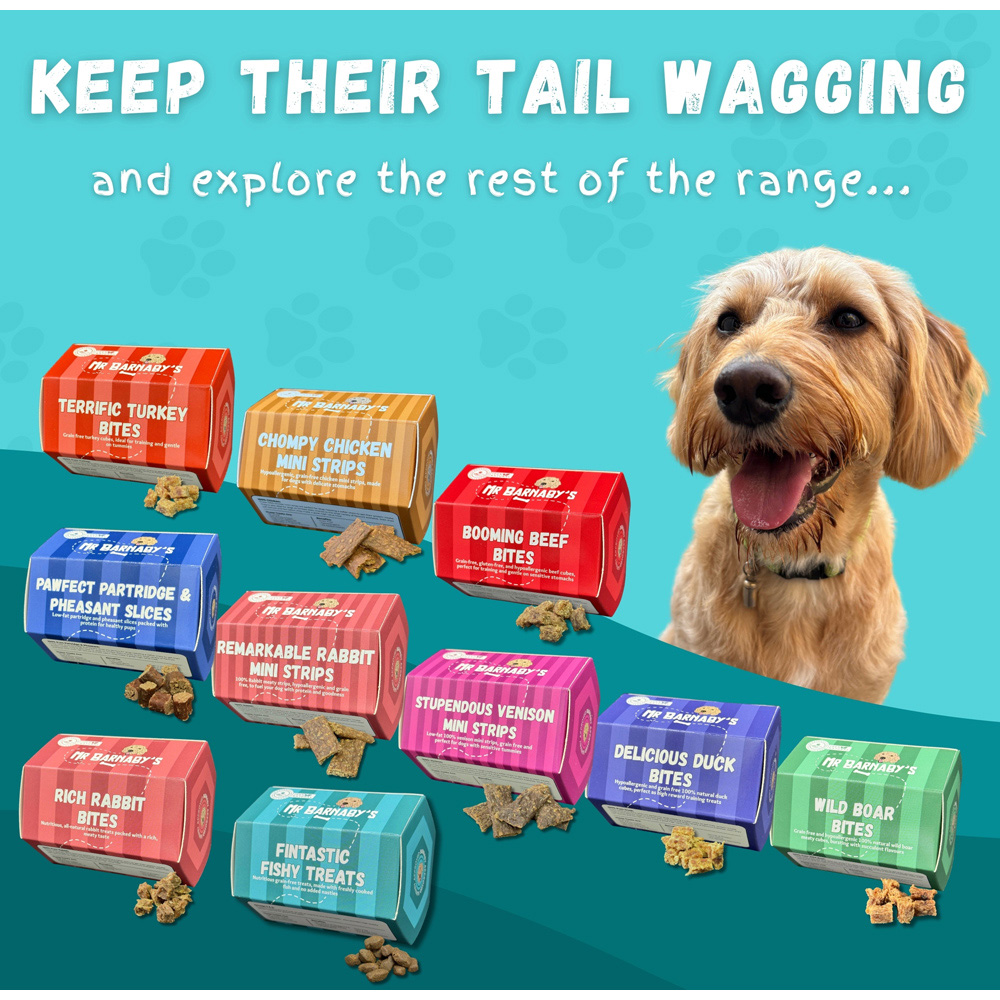 Mr Barnaby's Fintastic Fishy Grain-Free Hypoallergenic Dog Treats 100g 2 Pack Image 8