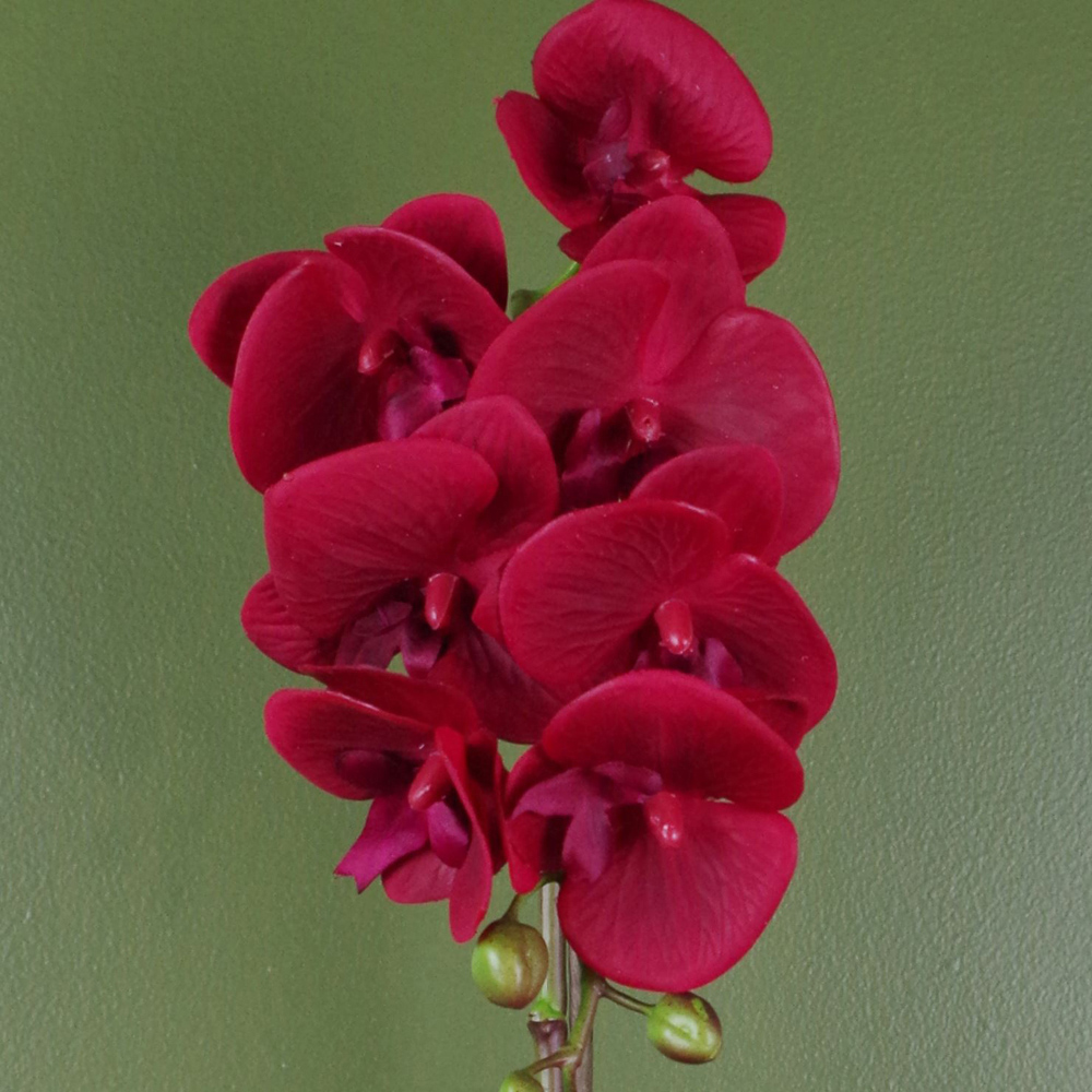 Botanik Red Orchid Artificial Plant in Silver Pot 46cm Image 3