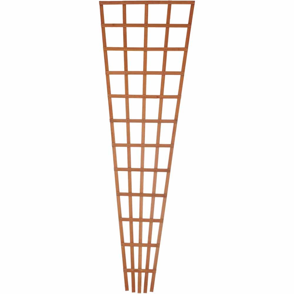 Wilko Fan Trellis 180 x 60cm Image 1