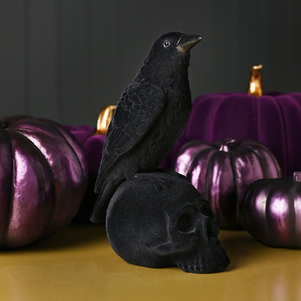 Hocus Pocus Halloween Crow on A Skull Image 2