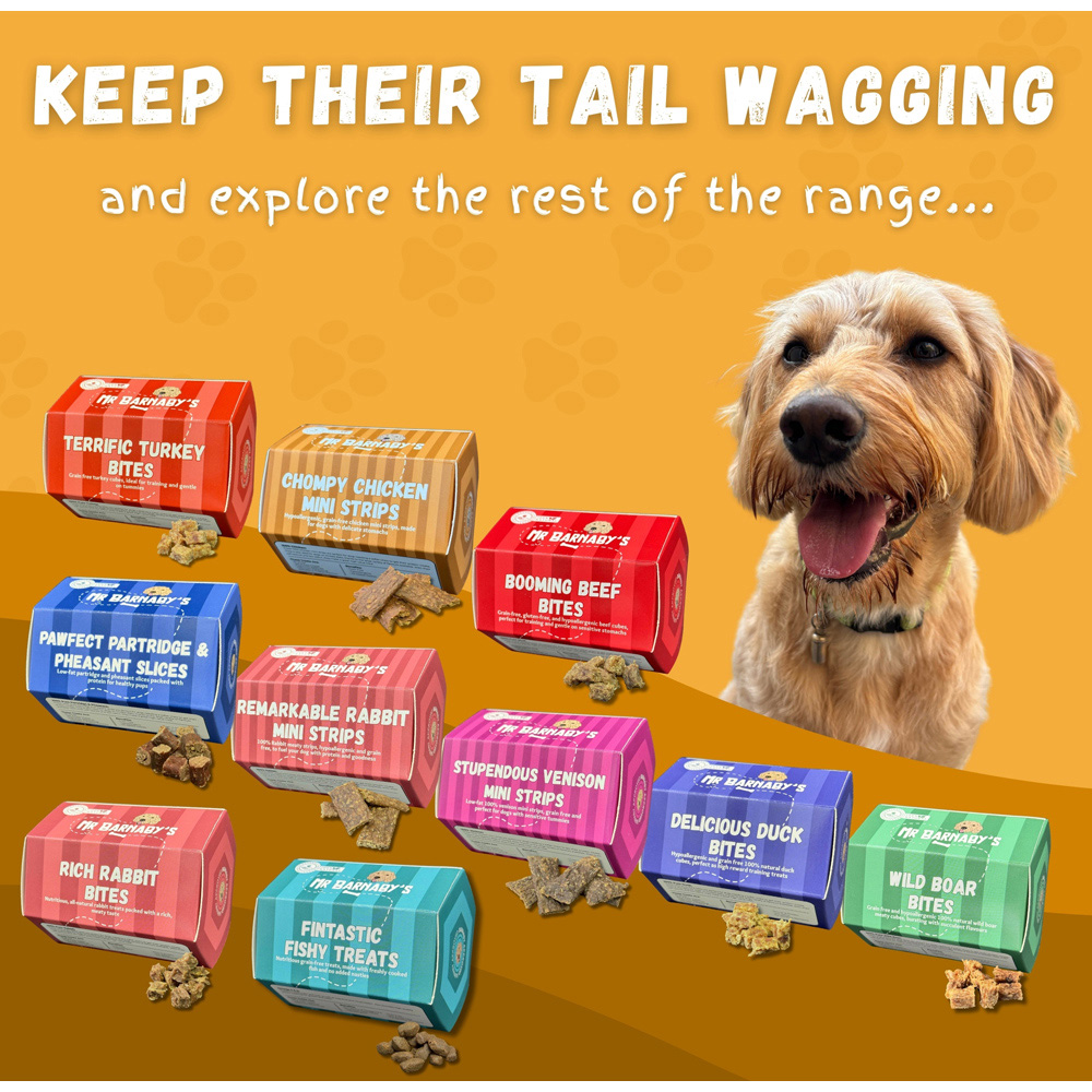 Mr Barnaby's Chompy Chicken Mini Strips Dog Treats 2 Pack Image 8
