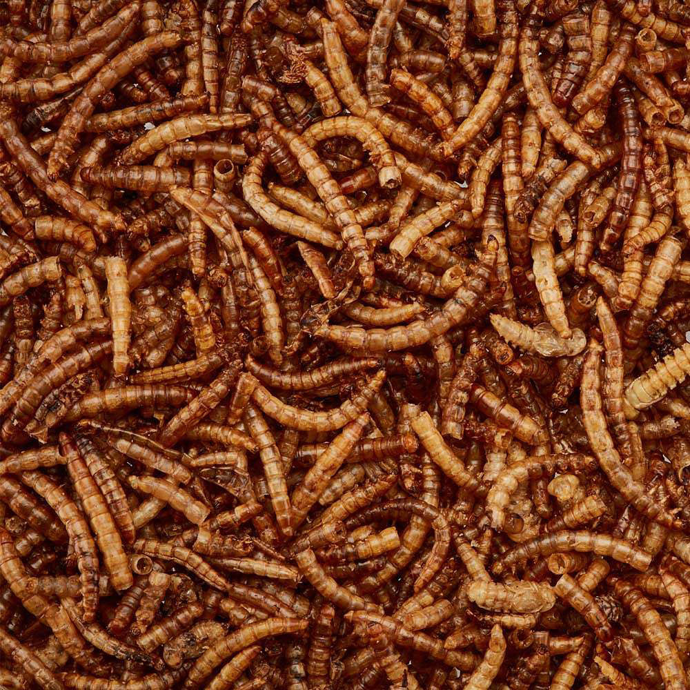 Happy Beaks Meal Worms Tub Bird Food 200g Image 3