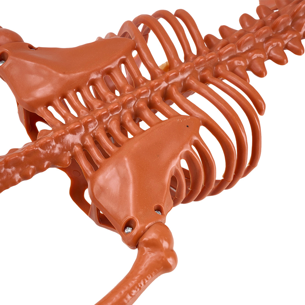 Living and Home Orange Posable Pumpkin Skeleton Halloween Decoration 3ft Image 4