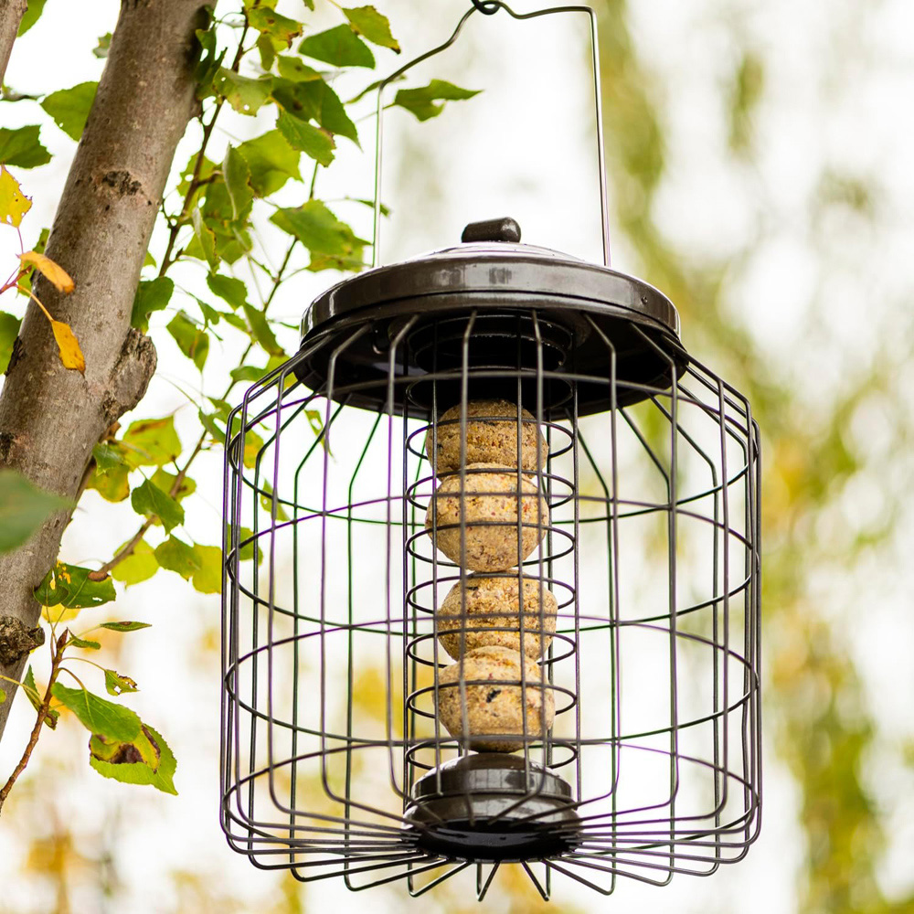 Thompson and Morgan Happy Beaks Premium Squirrel Proof Fat Ball Feeder Image 2