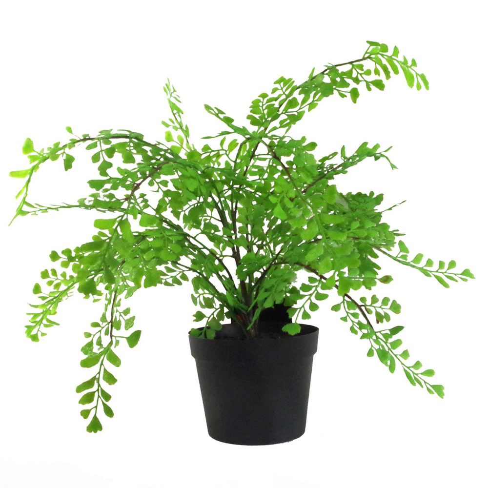 Leaf Southern Maidenhair Artificial Plant Pot 1.14ft Image 1