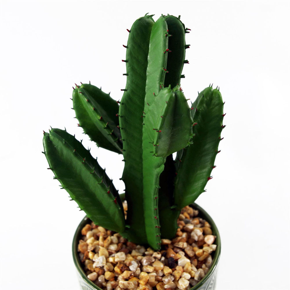 Leaf Cactus Artificial Plant in Green Ceramic Planter 23cm Image 4