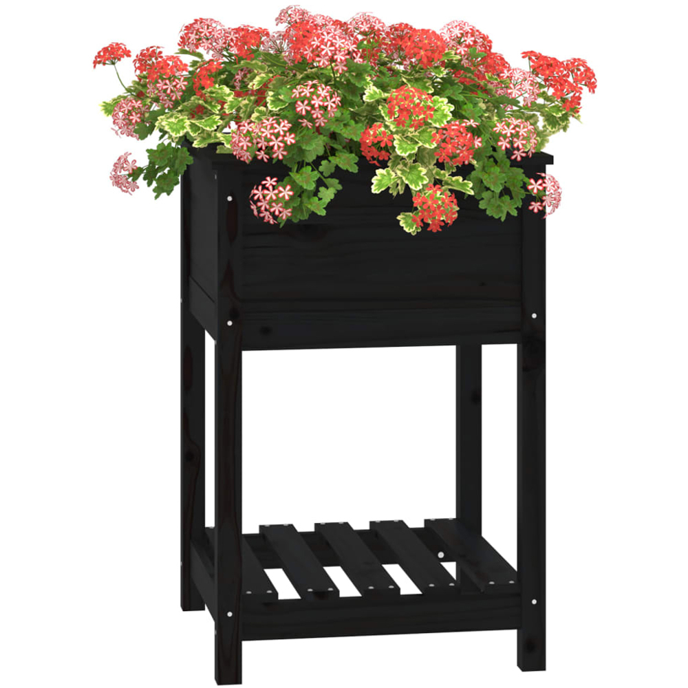 vidaXL Single Shelf Black Solid Pine Wood Garden Planter 58 x 54 x 81cm Image 3