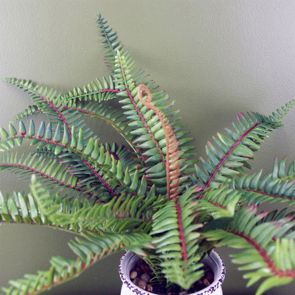Leaf Bushy Fern Artificial Plant in Planter 40cm Image 3