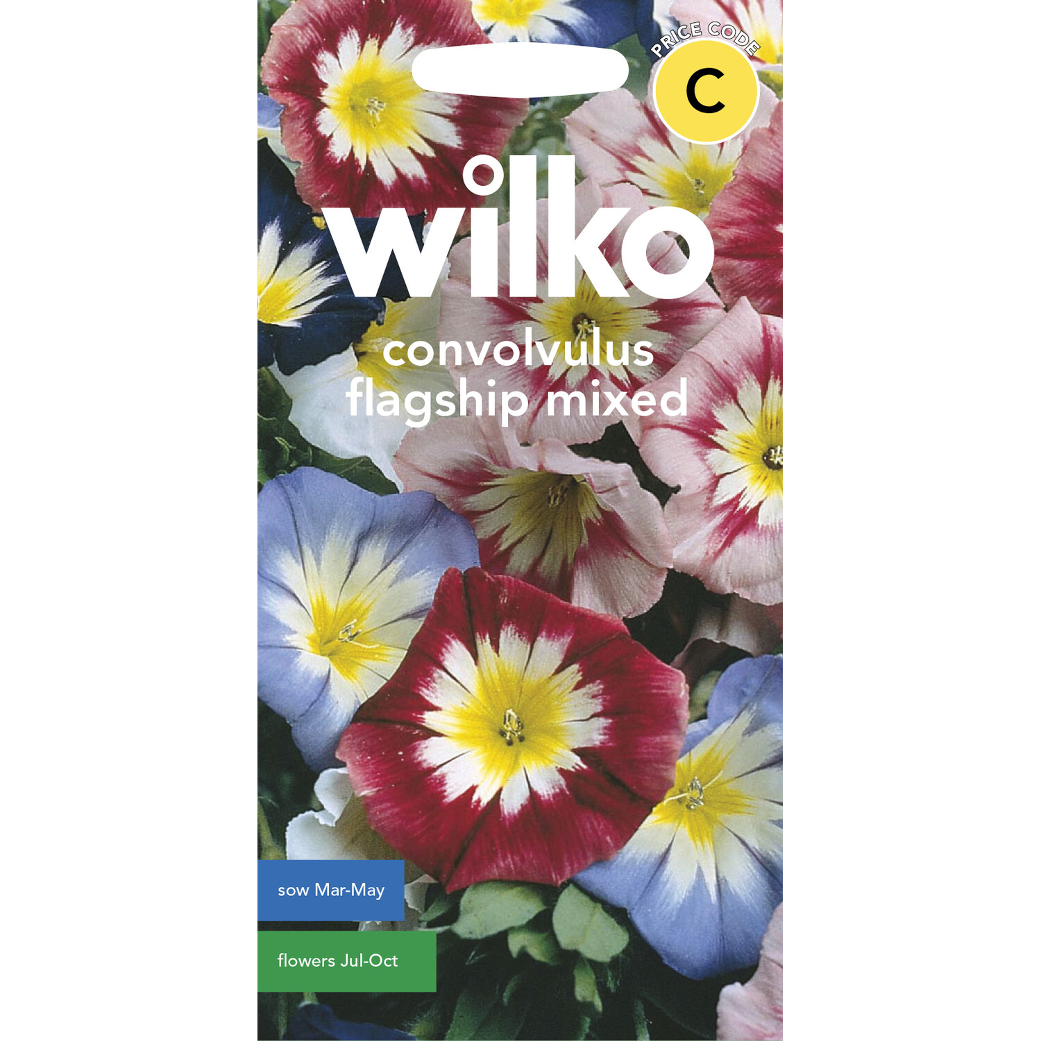 Wilko Convolvulus Flagship Mix Seeds Image 1