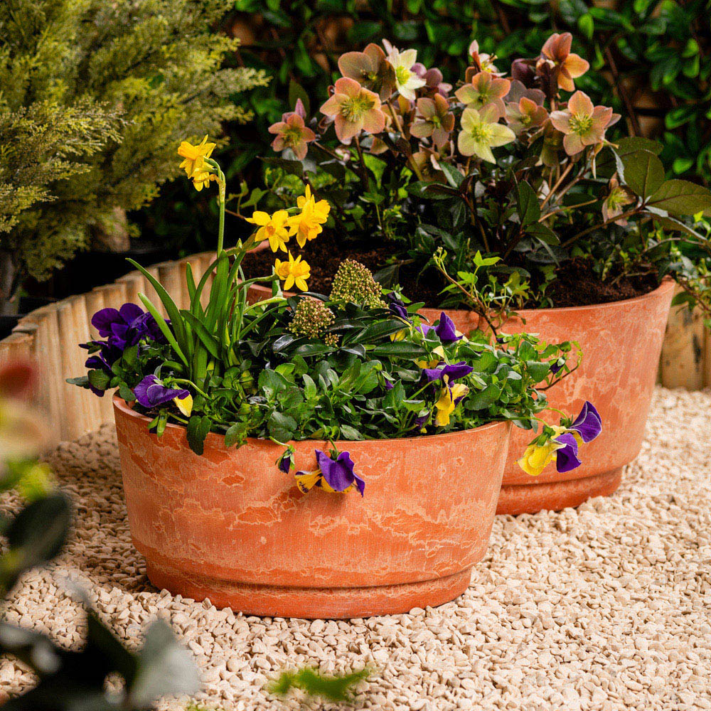 Garden Gear Caesar Terracotta Marble Effect Bowl Planter Set of 2 Image 2