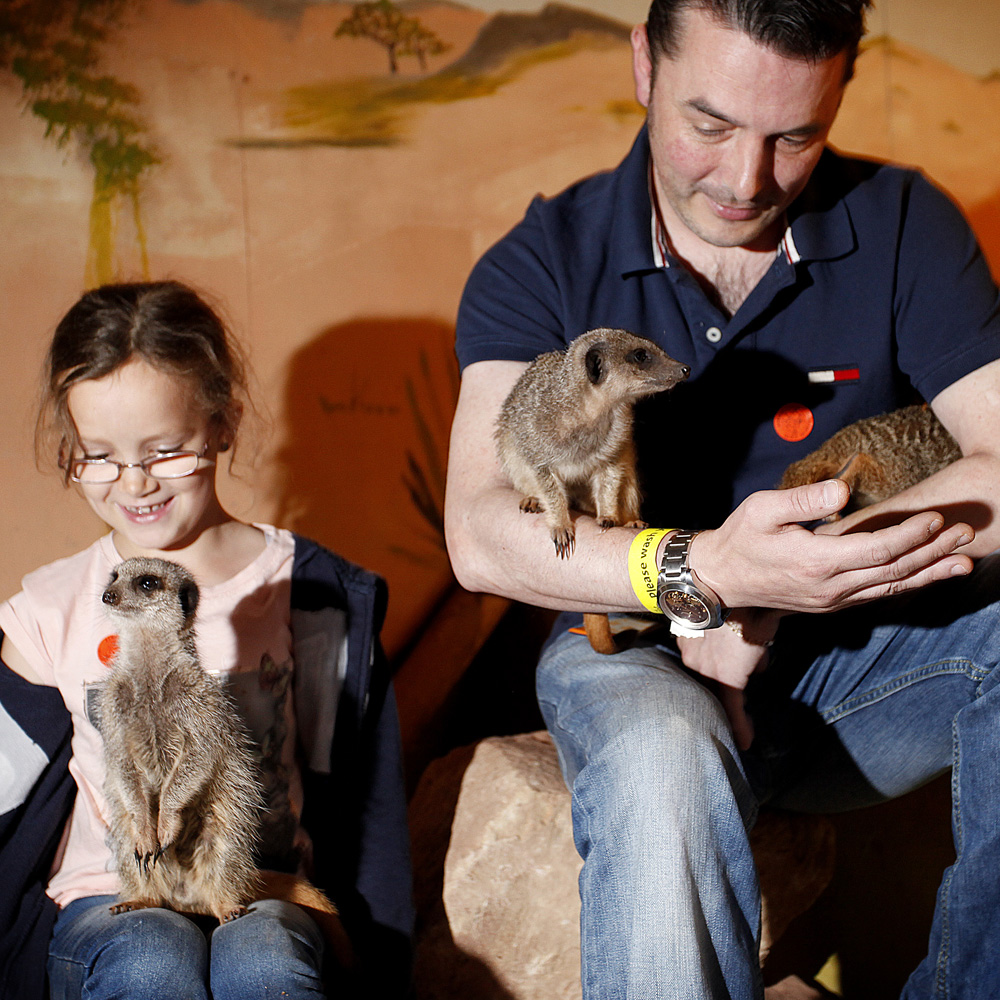 Activity Superstore Meerkat Encounter Gift Experience 2 Pack Image 1